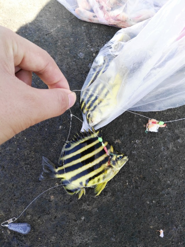 舌尖上的中国浙江篇,舌尖上的中国浙江宁波篇