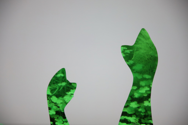 灏煎悍澶氶噸鏇濆厜鏁欑▼,浣宠兘澶氶噸鏇濆厜鏁欑▼