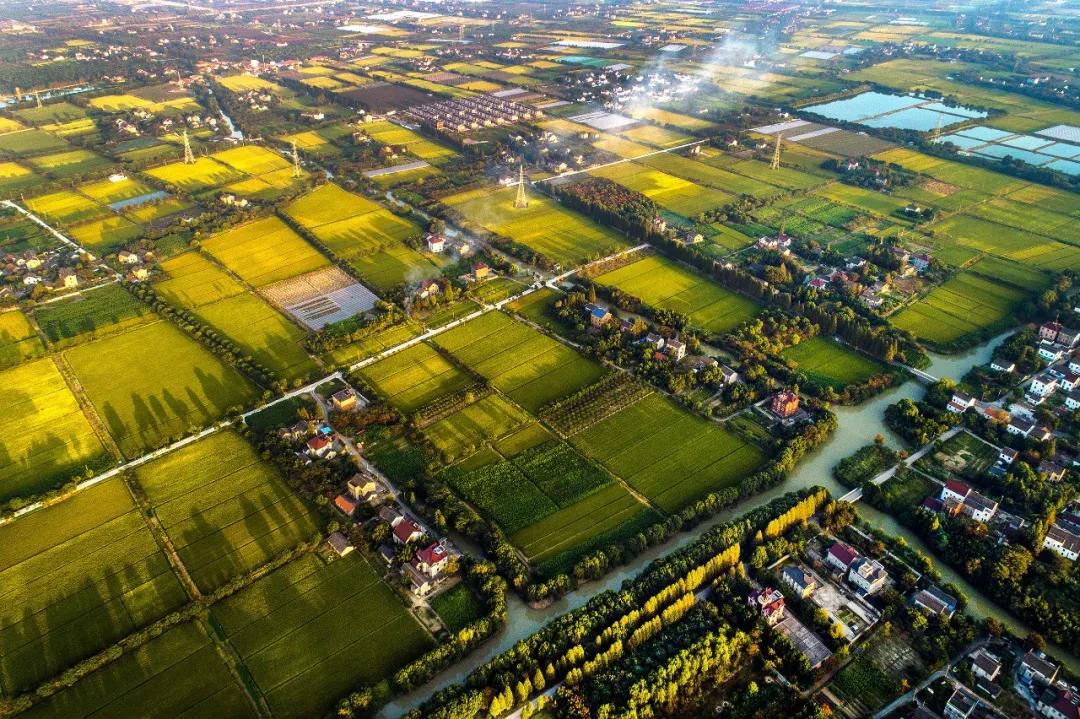 江南粮仓是哪个省的,浙江嘉兴市江南第一大镇