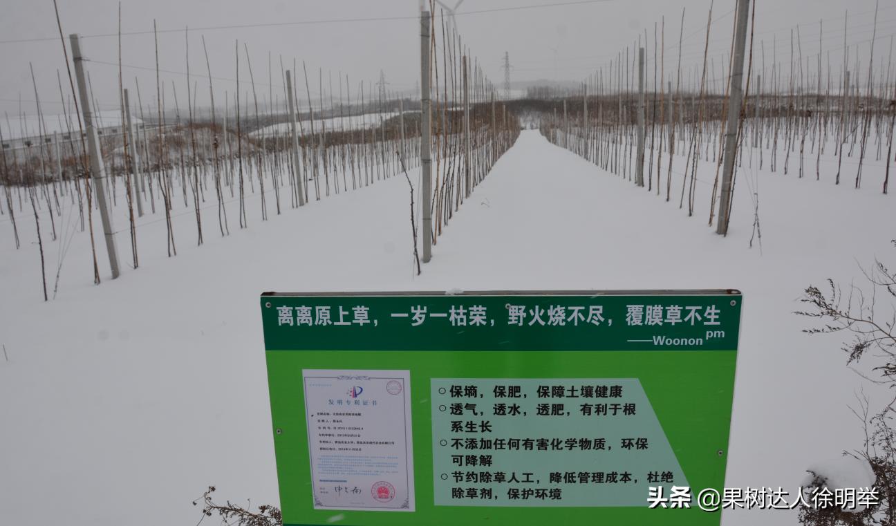 你对园艺专业的看法,你对园艺技术有什么了解