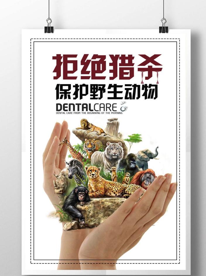 本世纪的生态污染对地球环境的极端影响