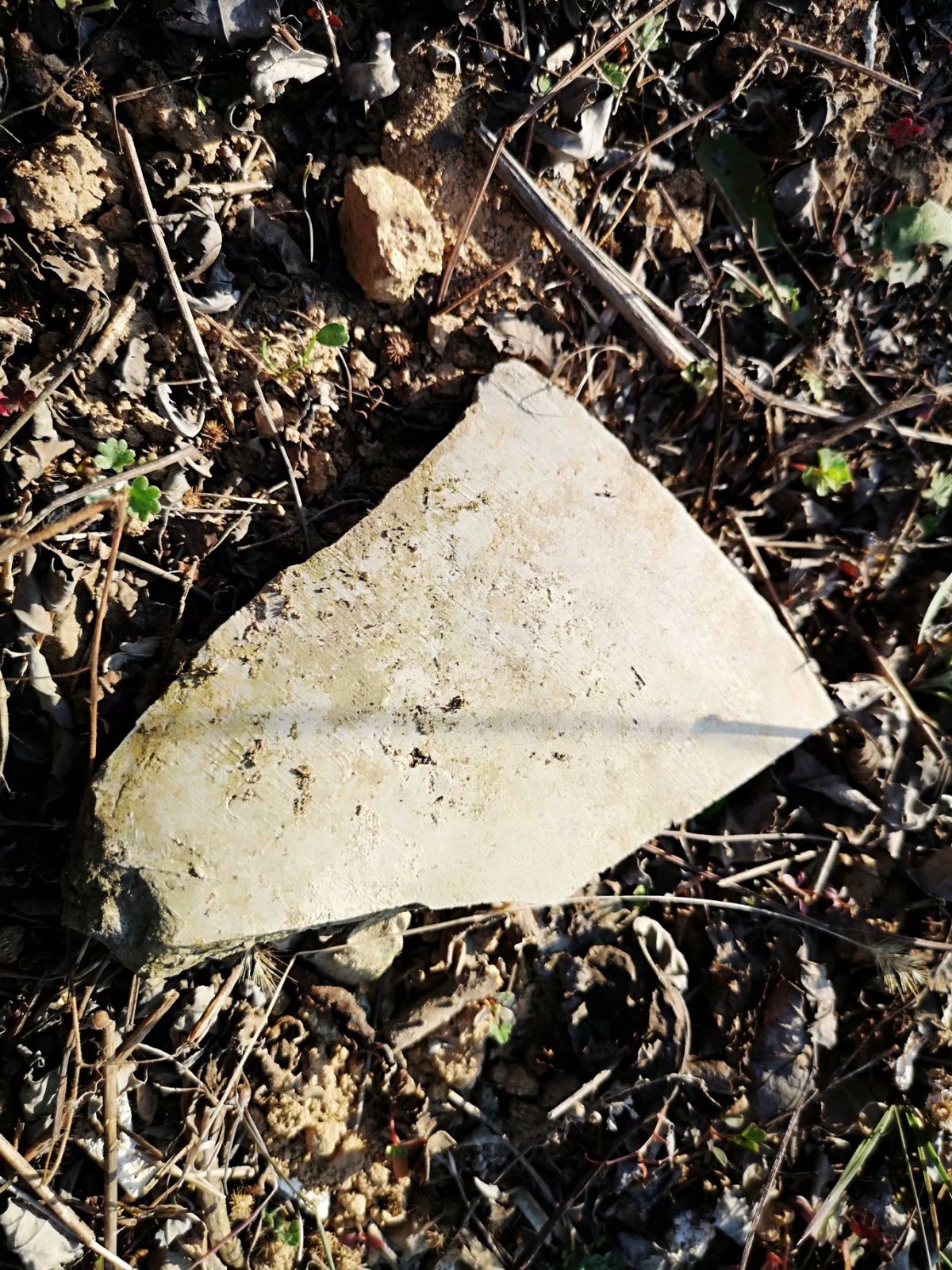 摩托周边旮旯游——探访蚌埠李楼鲁山寺遗址（上）