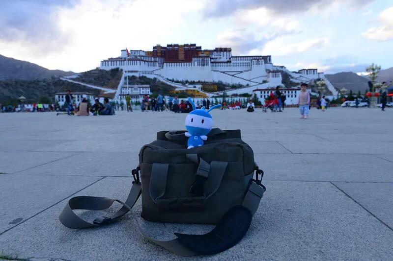 川藏的布达拉宫,西藏布达拉宫简介