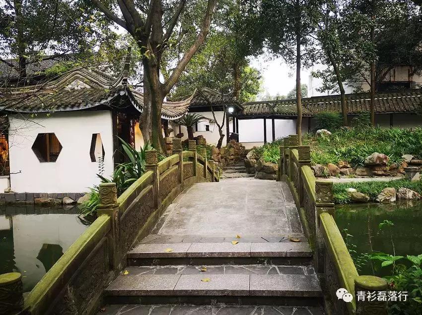 月满易园兰舟、秋莲华西钟楼:诗意生活就在身边,何须远走?