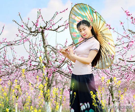 迎一片春来等一场花开经典美文,散文借一束暖阳待一树花开