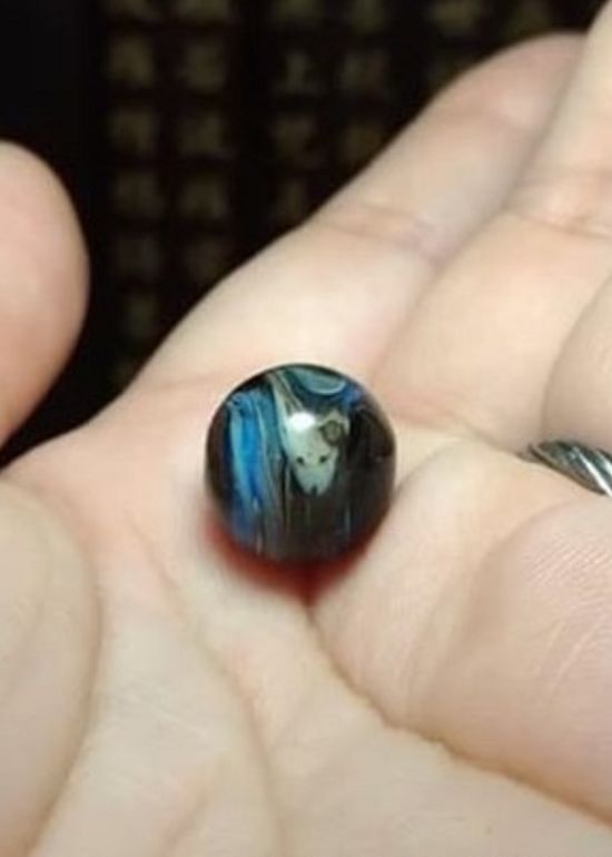 哈士奇在坟墓哭了,哈士奇在坟前痛哭