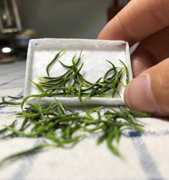 一个90后全职妈妈,一个90后的全职妈妈