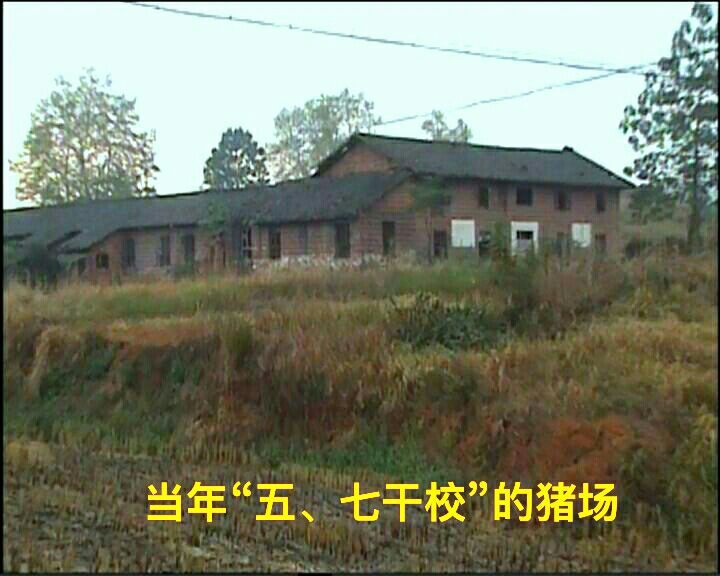 知青情结图片素材,60年代的知青情结