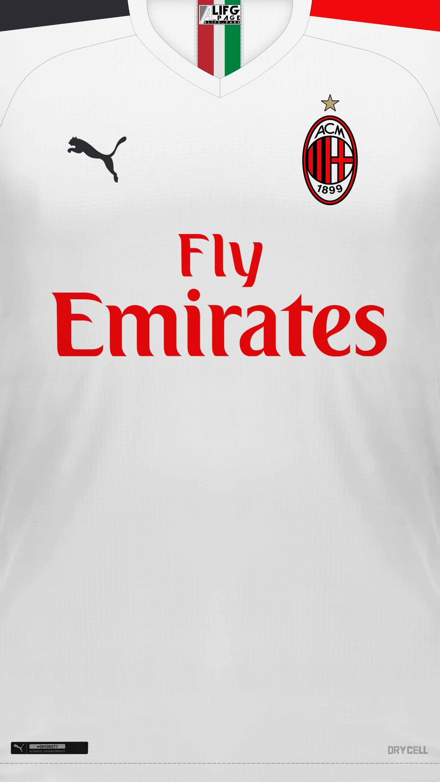 伊布进化型壁纸,伊布米兰霸气壁纸