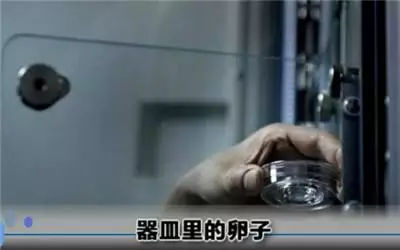 做试管婴儿的全场视频,揭秘试管婴儿的全过程