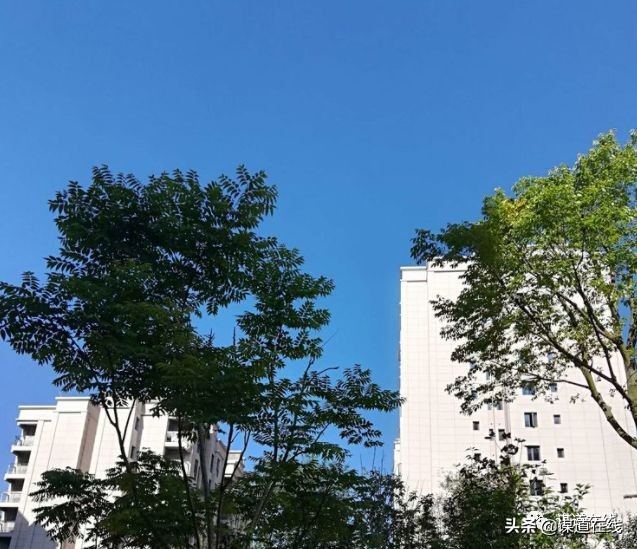 在苏马荡避暑每月大概花费多少钱,苏马荡住哪里好