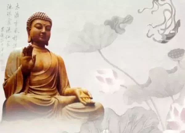 人转运前的征兆会遇到傻子吗,无名僧开示视频大全