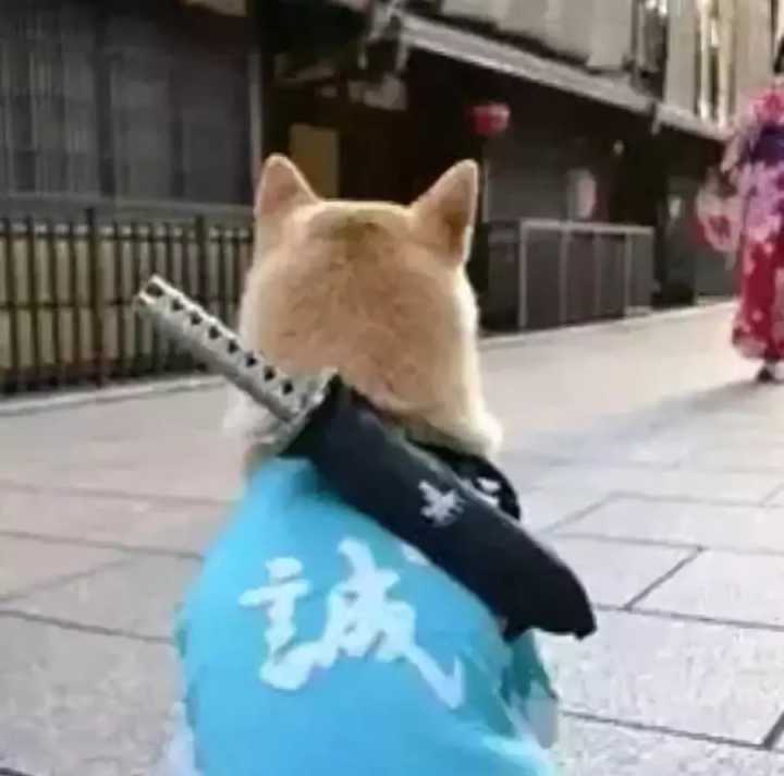 霸气可爱沙雕的微信昵称,独一无二的沙雕女生微信名