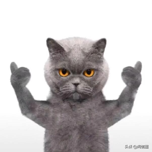 超强心理学测试,发朋友圈的心理学机制