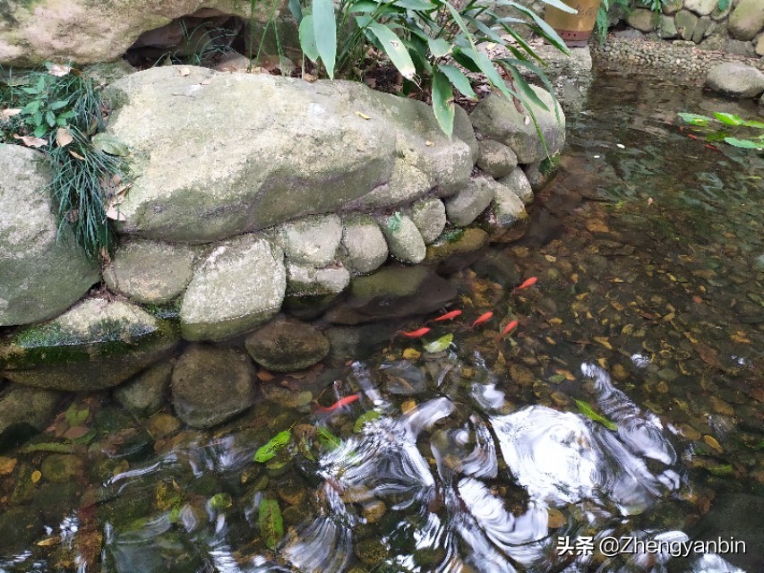 福州鼓山风景区大门,福州于山风景区开放时间最新消息