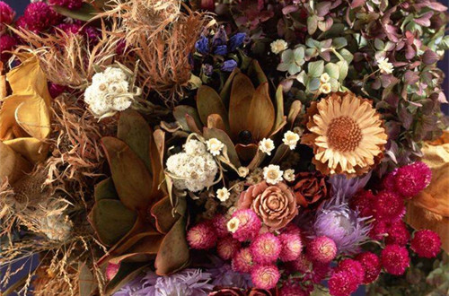 如何做一个精致少女,如何做一个香香的精致女孩