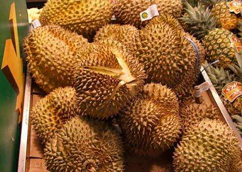 榴莲采摘过程真的很危险吗,榴莲虽贵但吃不惯