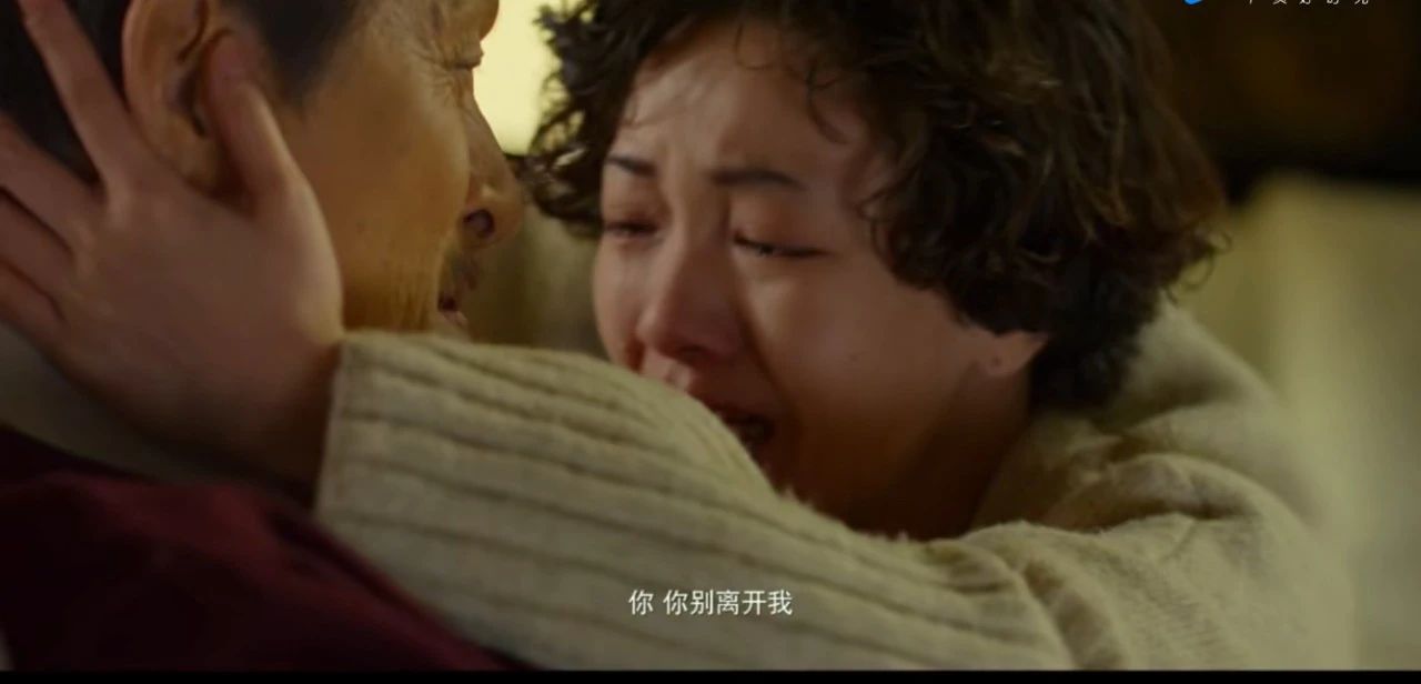 郭采洁喜宝免费观看完整版,喜宝郭采洁假如爱真的存在