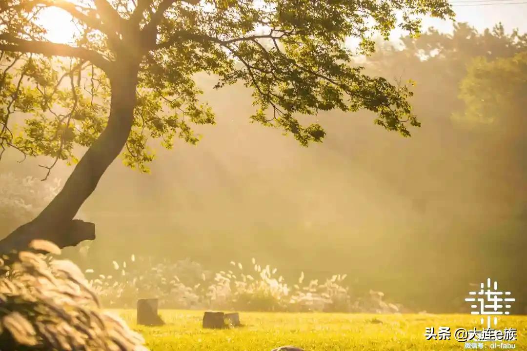 大连中秋节适合去哪里玩,中秋节大连游玩攻略