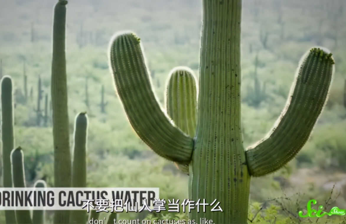 生存谣言,8个求生者监管者会怎样