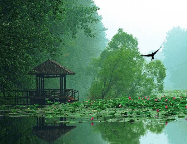 微山湖飘香鱼丸的正宗做法,微山湖手工鱼丸纯手工制作