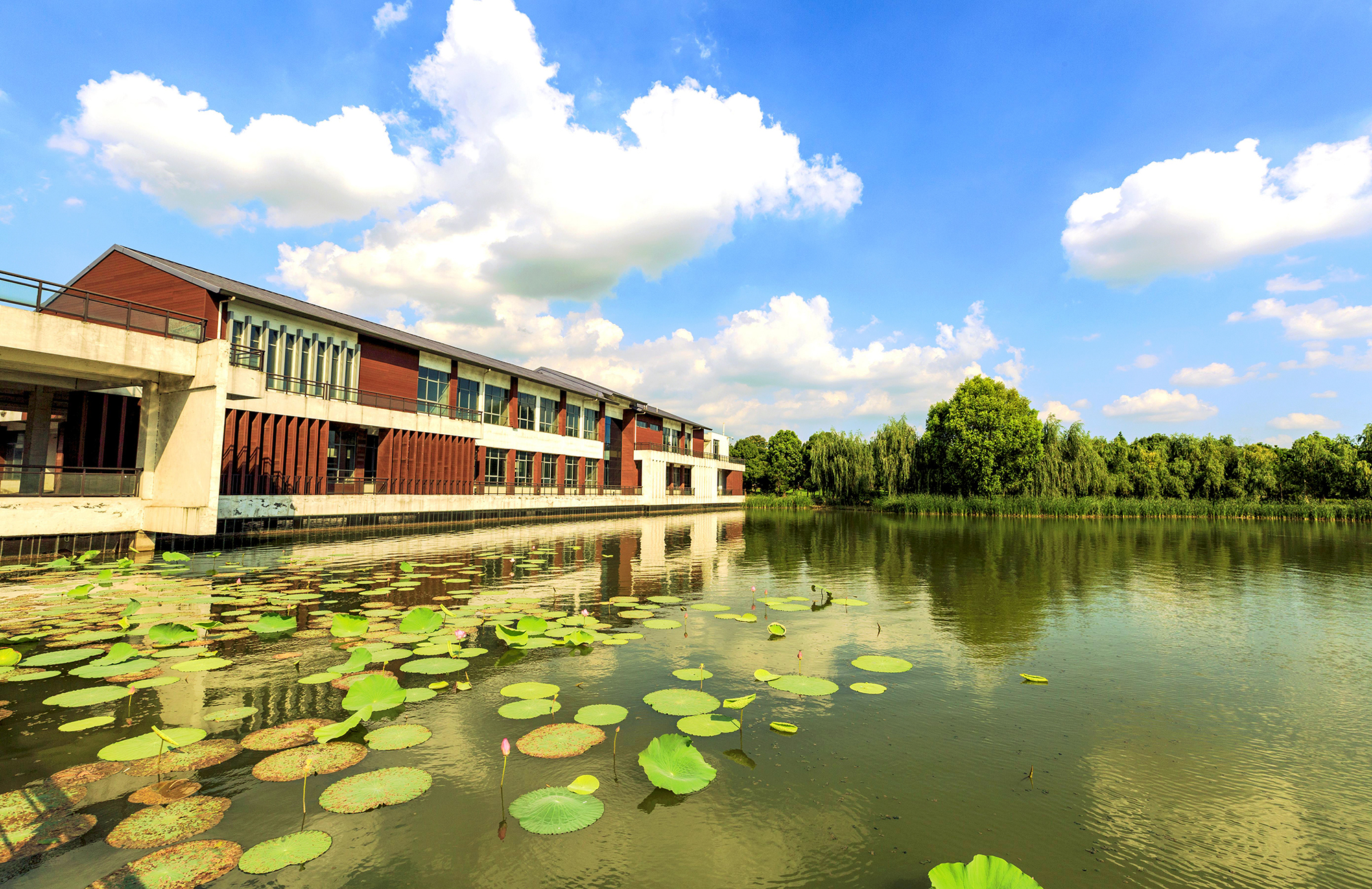 秋天游江南,秋天江南旅游攻略