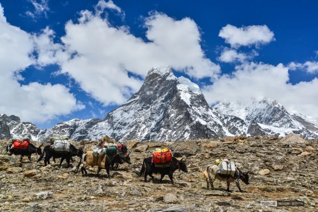 没时间废话了，快去希夏邦马