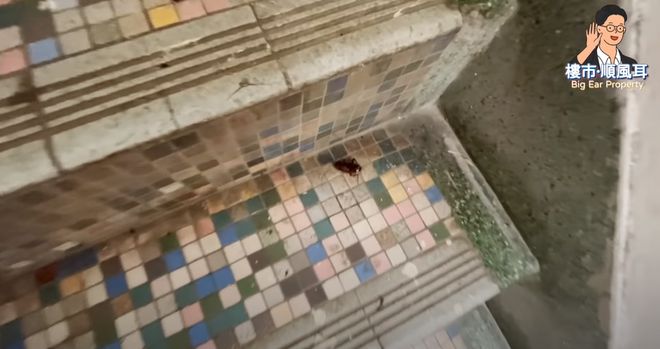 在香港3000块能租到房子吗,在香港月租2w的房子