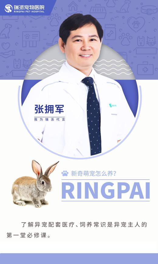 新奇物种怎么养,新奇宠物怎么养