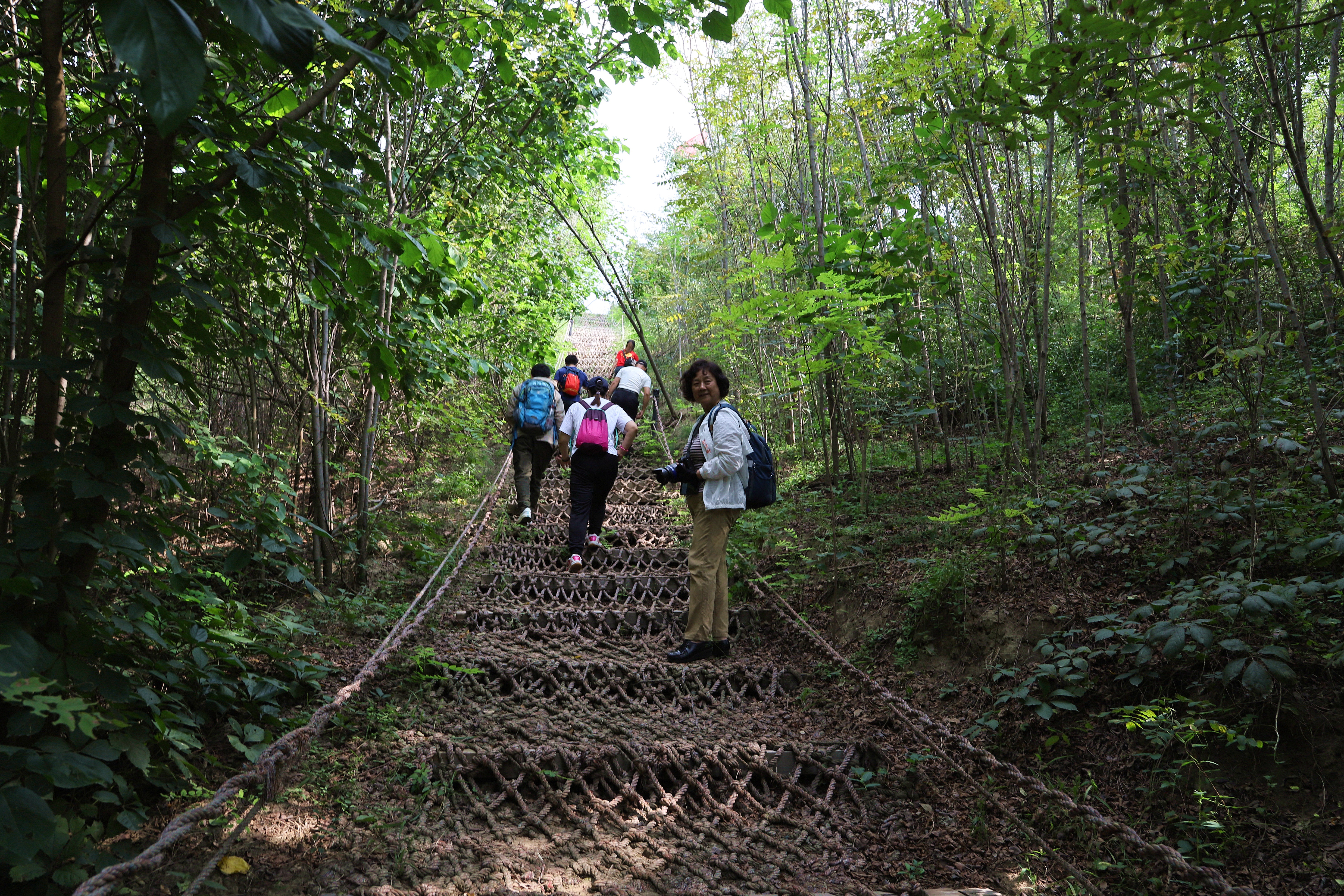 在心灵的栖息地遇见第五季