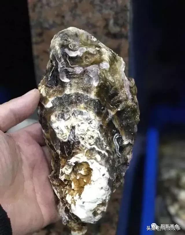 水煮贝壳类海鲜煮多久,海边海鲜用什么水煮好吃