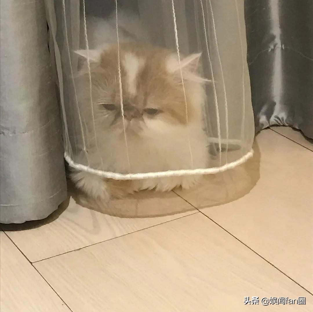 鹿晗关晓彤怎么认识的,热巴鹿晗什么时候认识