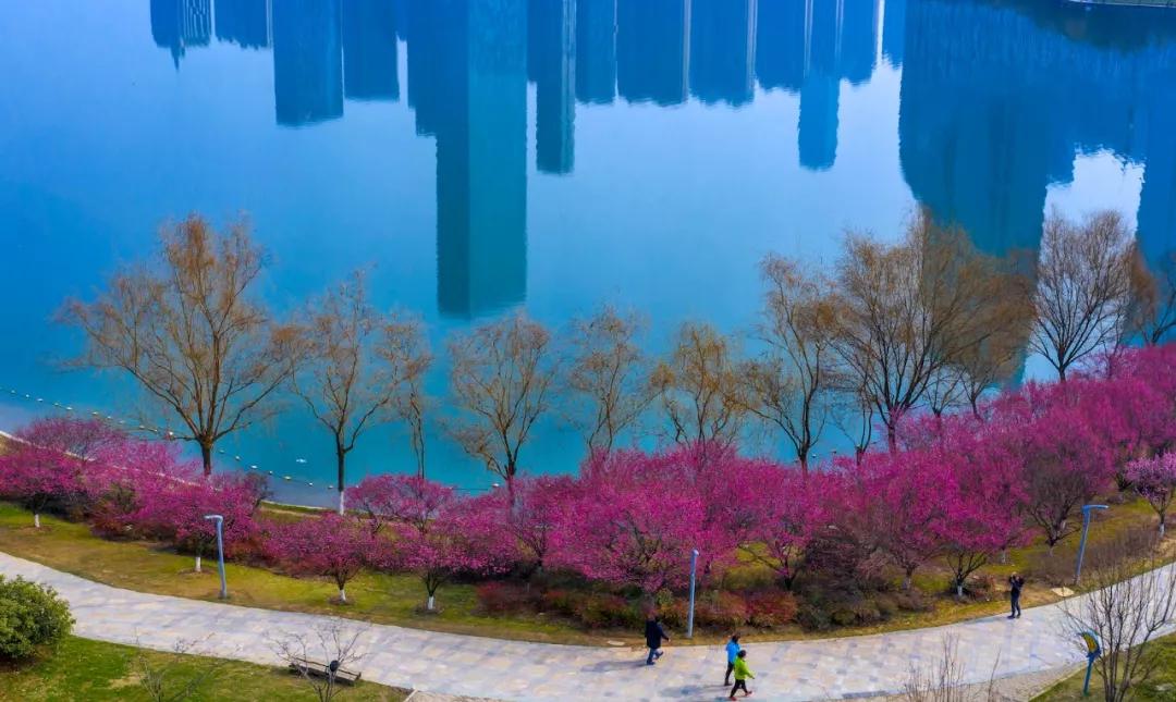 合肥长江东路改造是哪一段,合肥青龙路2021改造计划