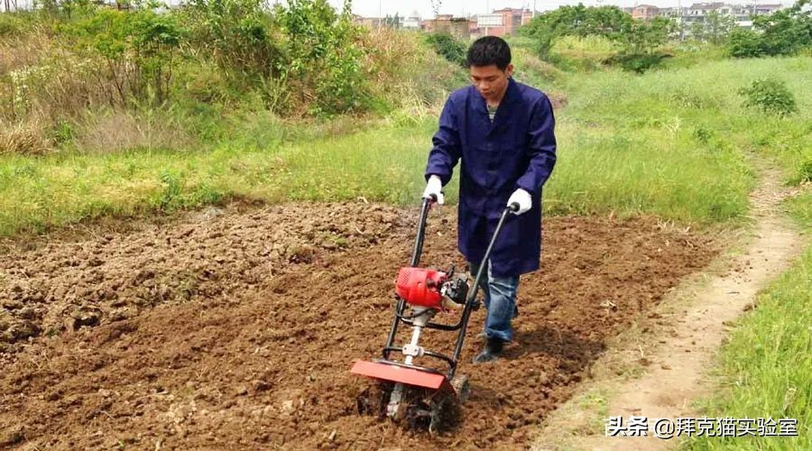自制浇花神器自动浇水,制作浇花器一年都不用浇水