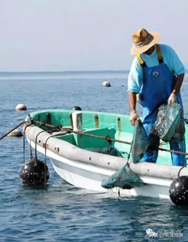 水煮贝壳类海鲜煮多久,海边海鲜用什么水煮好吃