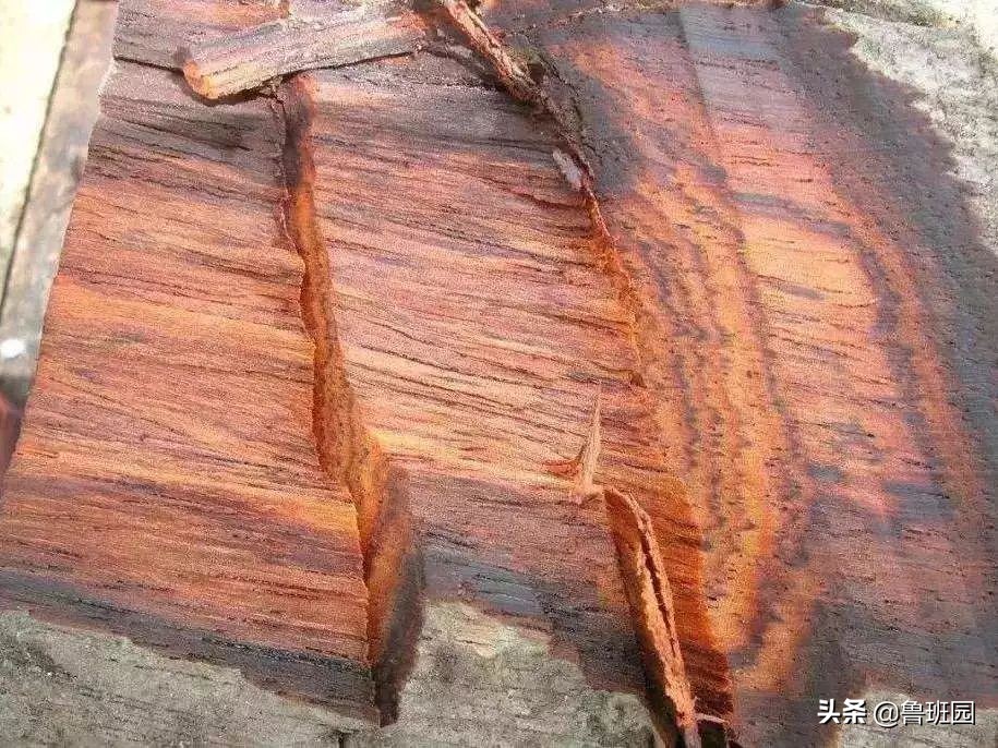 红木家具白坯怎么鉴别好坏,红木家具怎么选择好坏视频