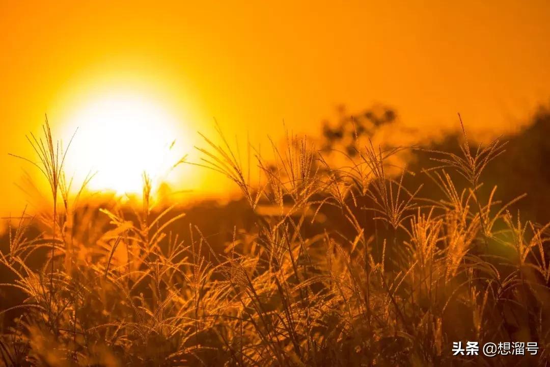 人民日报总结60个常被误用的成语,常见易混淆成语辨析100组