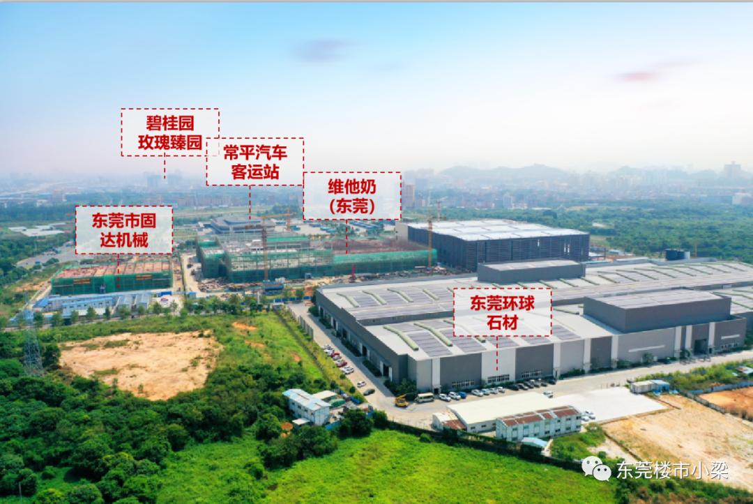 碧桂园常平玫瑰臻园别墅,东莞常平碧桂园玫瑰臻园