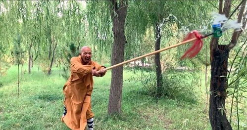 穿越到各种武侠世界,穿越金庸武侠世界学什么武功