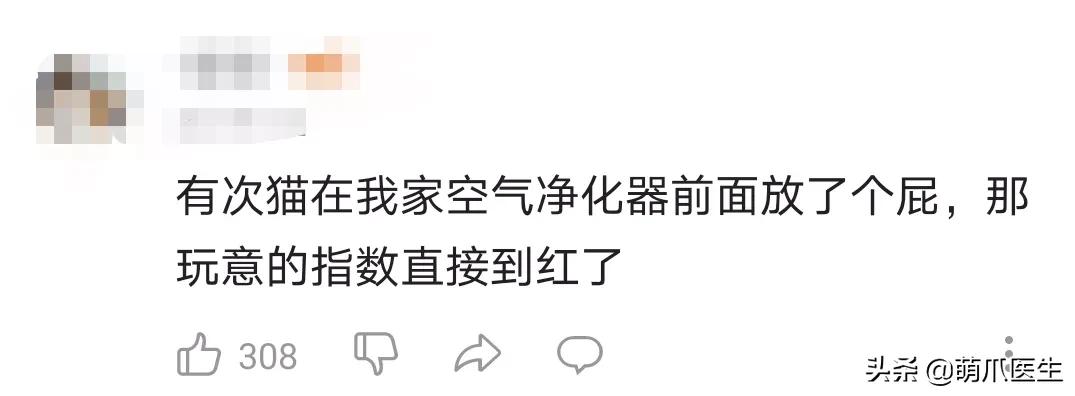 猫放屁把自己臭吐了,猫居然也会吐口水