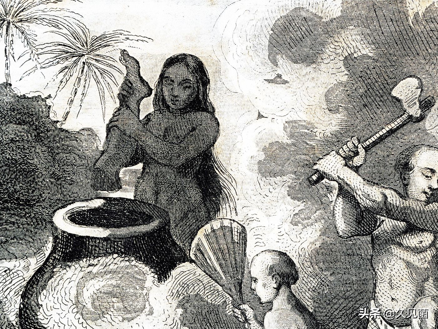 人类为啥不吃食肉动物的肉,人类为什么不吃肉食动物的肉