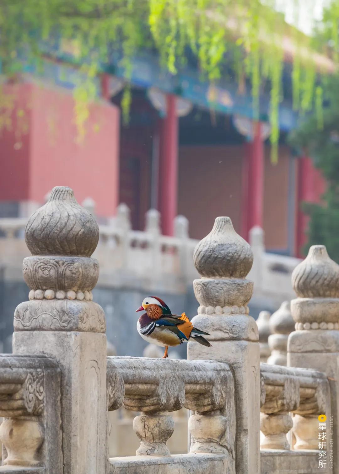 林草领域知识图谱,林草科普专业术语