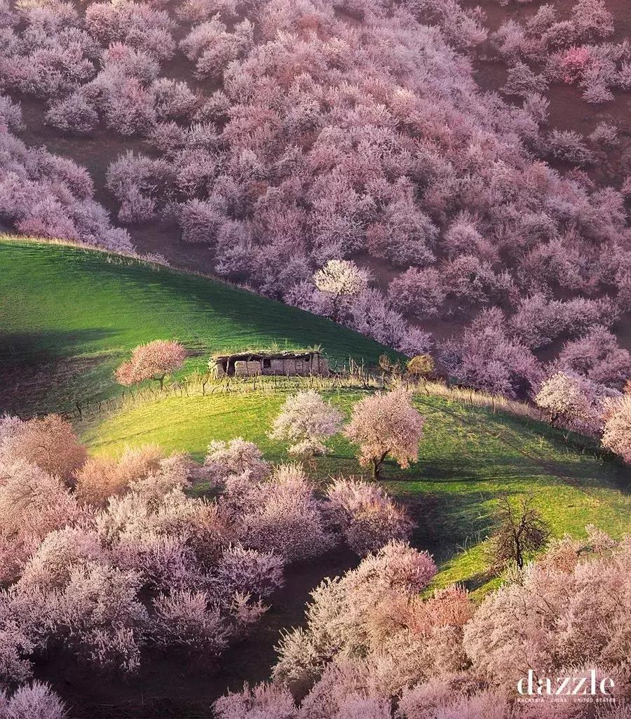 新疆的北疆和南疆哪个更美,北疆新疆之美