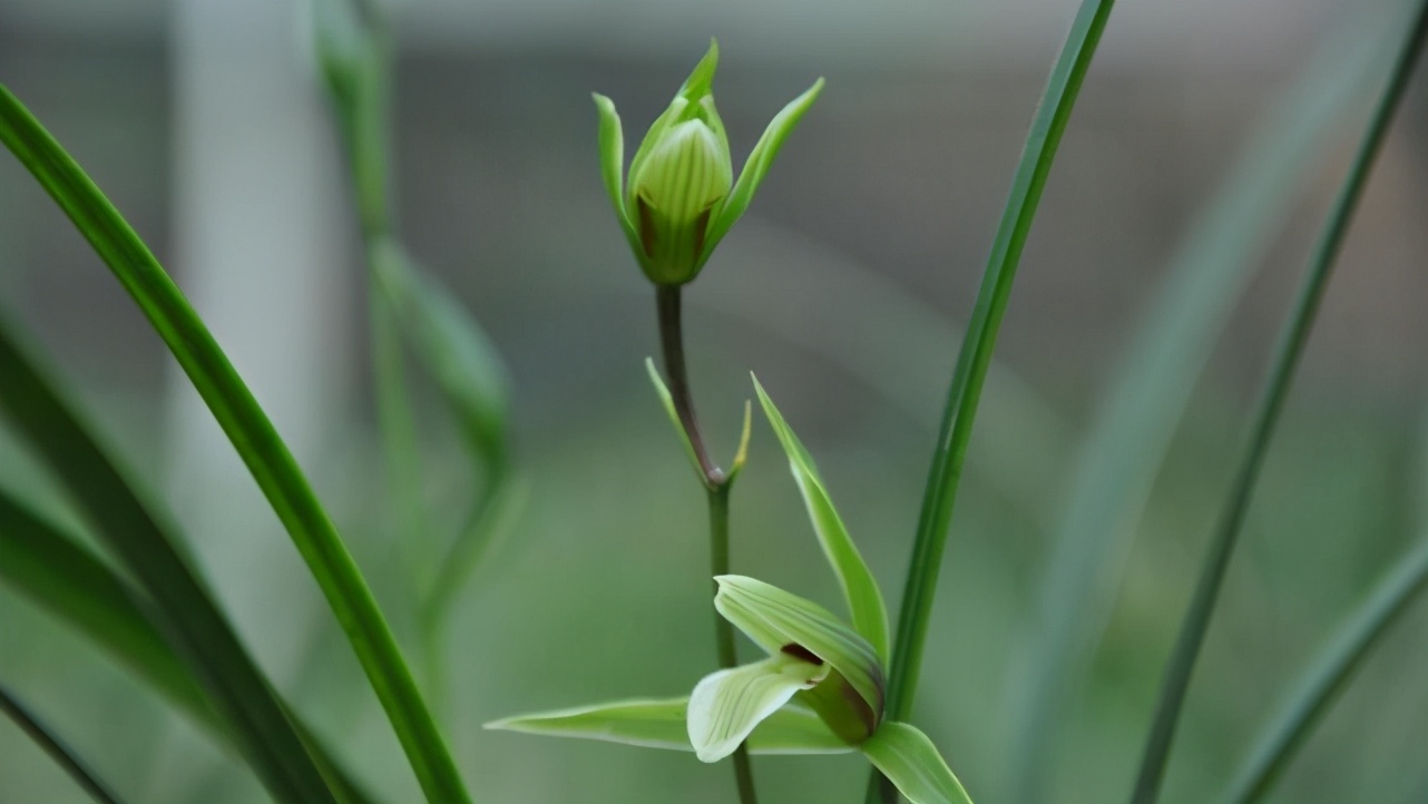 十二星座里哪个星座脾气最爆,看似没脾气实际脾气很大的星座