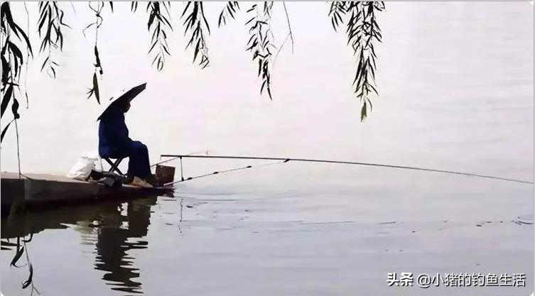 手竿与台钓竿有什么区别,台钓竿和手竿区别在哪里