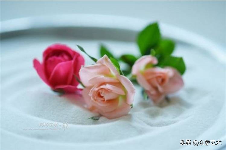 如何制作干花片,如何制作干花花束