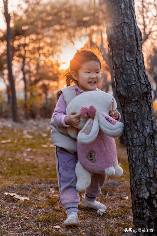 我的第一台相机作品,单反入门级相机推荐