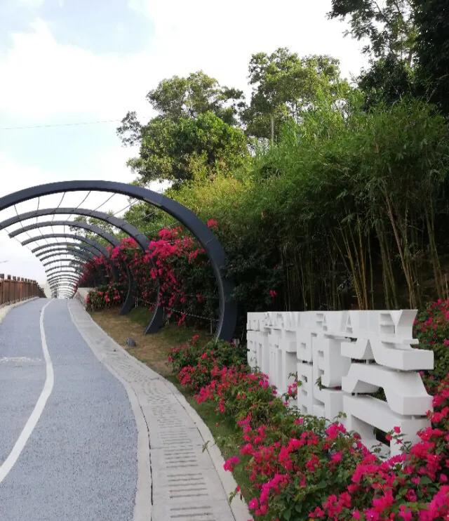 深圳花海公园推荐景点有哪些,深圳花海公园地址在哪里