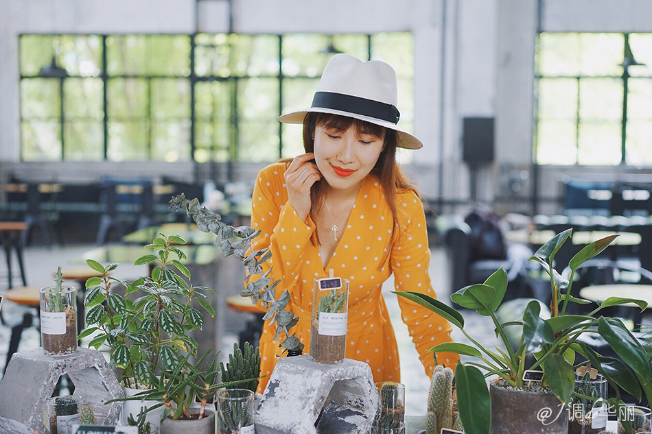 厦门没去过的地方,厦门没去过的景点