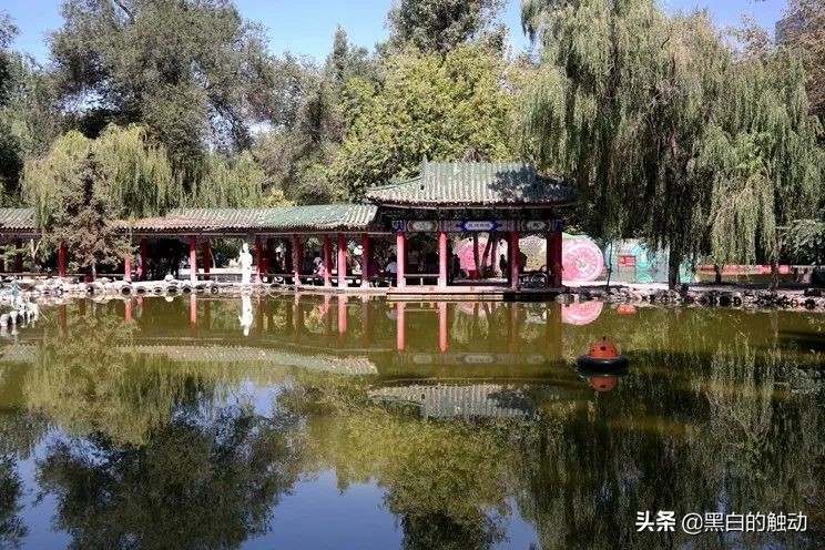 都说新疆好去新疆发展可靠么,都说新疆好地方